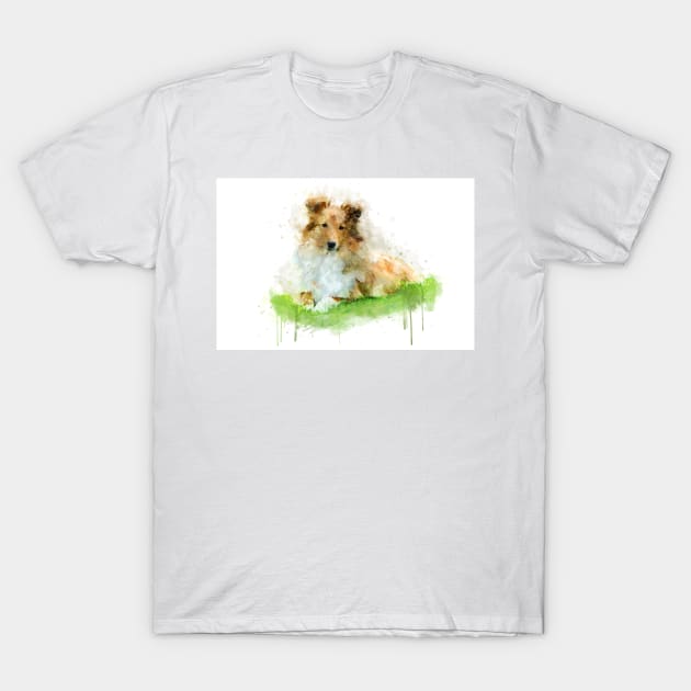 Shetland Sheepdog / sheltie T-Shirt by PetsArt